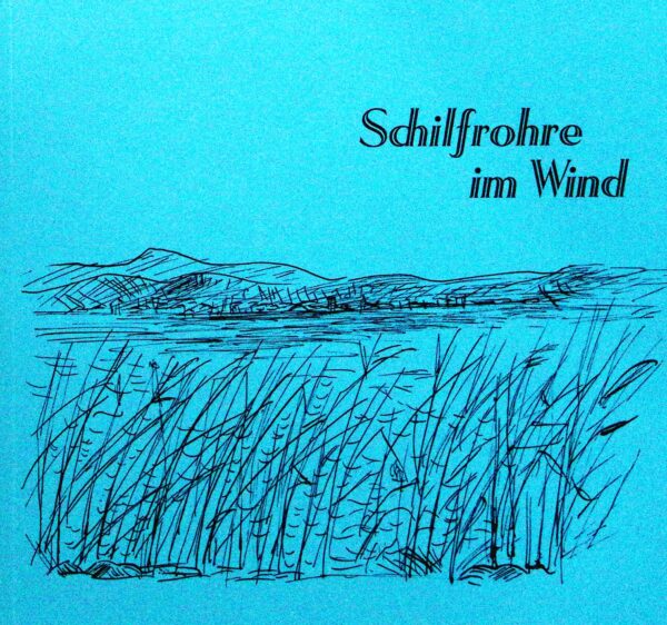 Schilfrohre im Wind